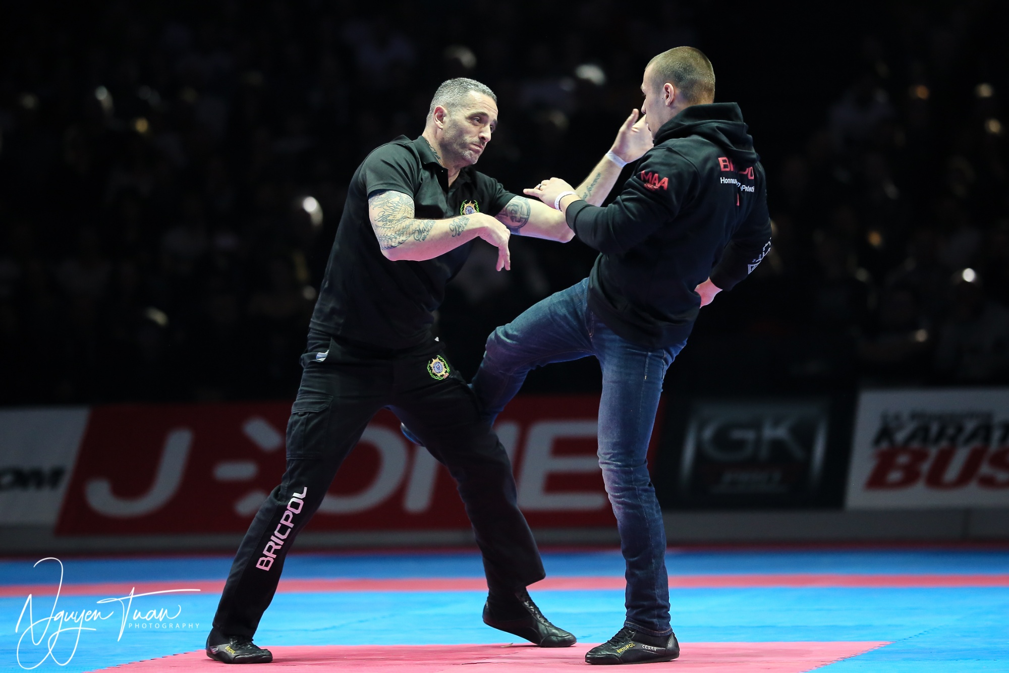 20190324 Festival des Arts Martiaux 2778